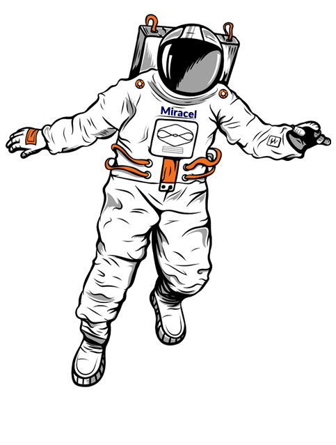 نرم افزار بلوغ سازمانی